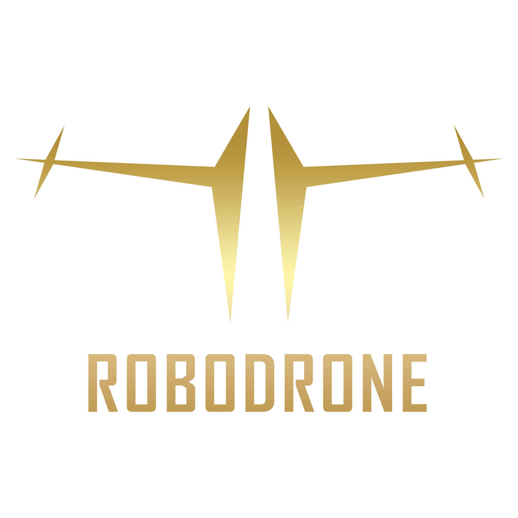 RoboDrone - Business Consulting